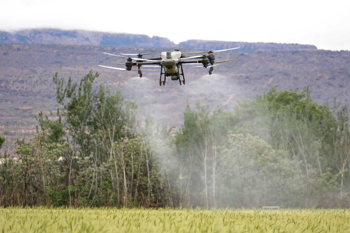 Drone pulverizando lavoura